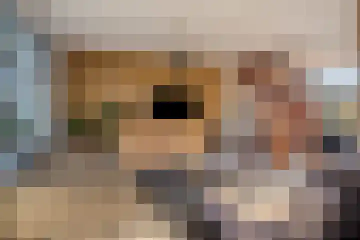Jacobus van 't Hofflaan 2 Berkel-Enschot thumbnail 10