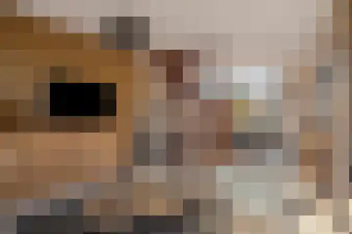 Jacobus van 't Hofflaan 2 Berkel-Enschot thumbnail 11