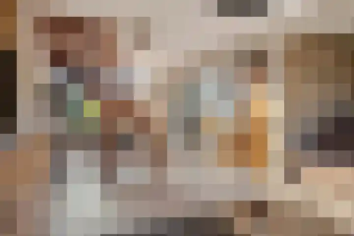 Jacobus van 't Hofflaan 2 Berkel-Enschot thumbnail 12