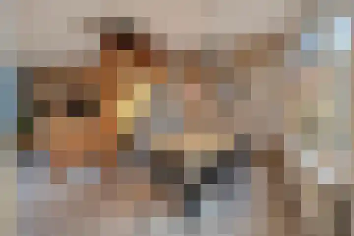 Jacobus van 't Hofflaan 2 Berkel-Enschot thumbnail 13