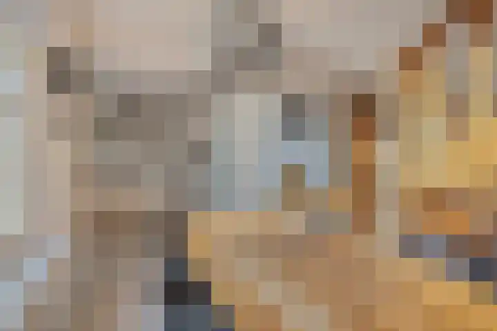 Jacobus van 't Hofflaan 2 Berkel-Enschot thumbnail 14