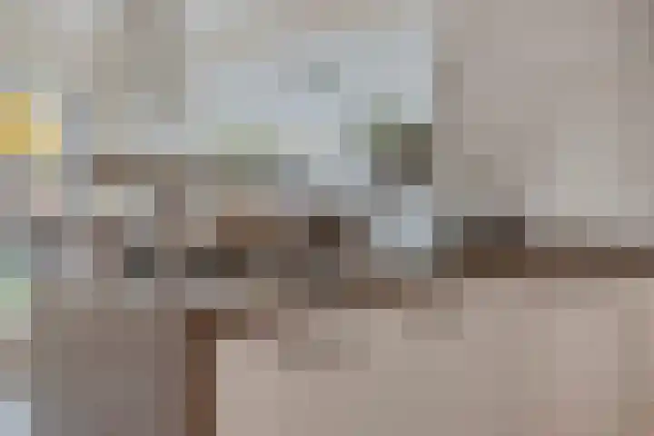 Jacobus van 't Hofflaan 2 Berkel-Enschot thumbnail 15