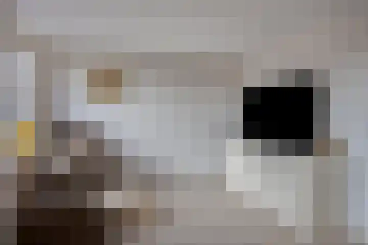 Jacobus van 't Hofflaan 2 Berkel-Enschot thumbnail 19