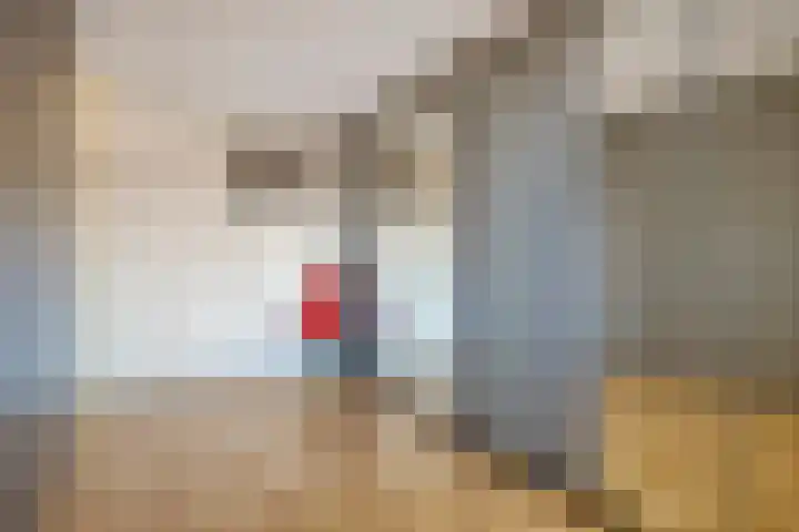 Jacobus van 't Hofflaan 2 Berkel-Enschot thumbnail 33