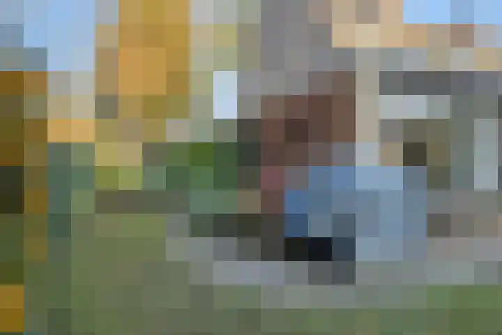Jacobus van 't Hofflaan 2 Berkel-Enschot thumbnail 41