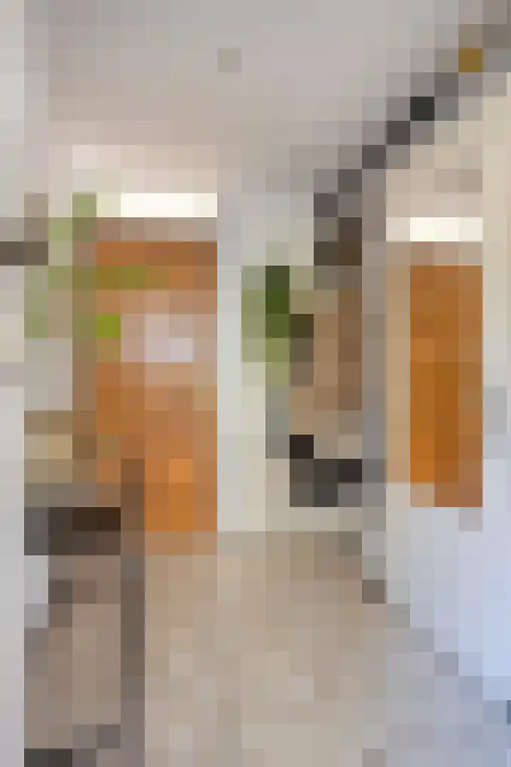 Jacobus van 't Hofflaan 2 Berkel-Enschot thumbnail 8