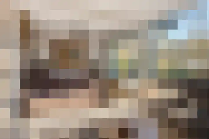 Jacobus van 't Hofflaan 2 Berkel-Enschot thumbnail 9
