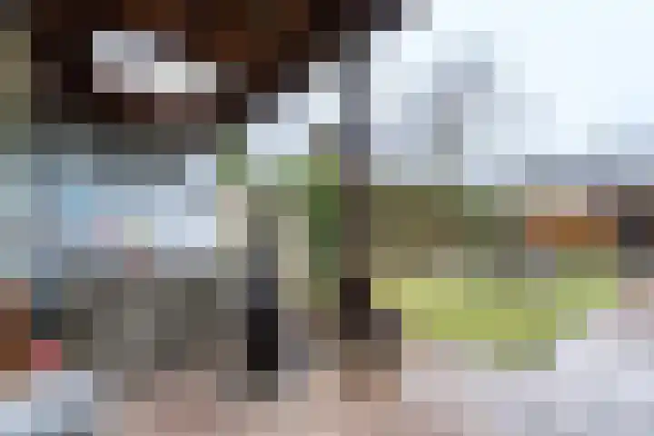 Jacobus van 't Hofflaan 5 Berkel-Enschot thumbnail 26