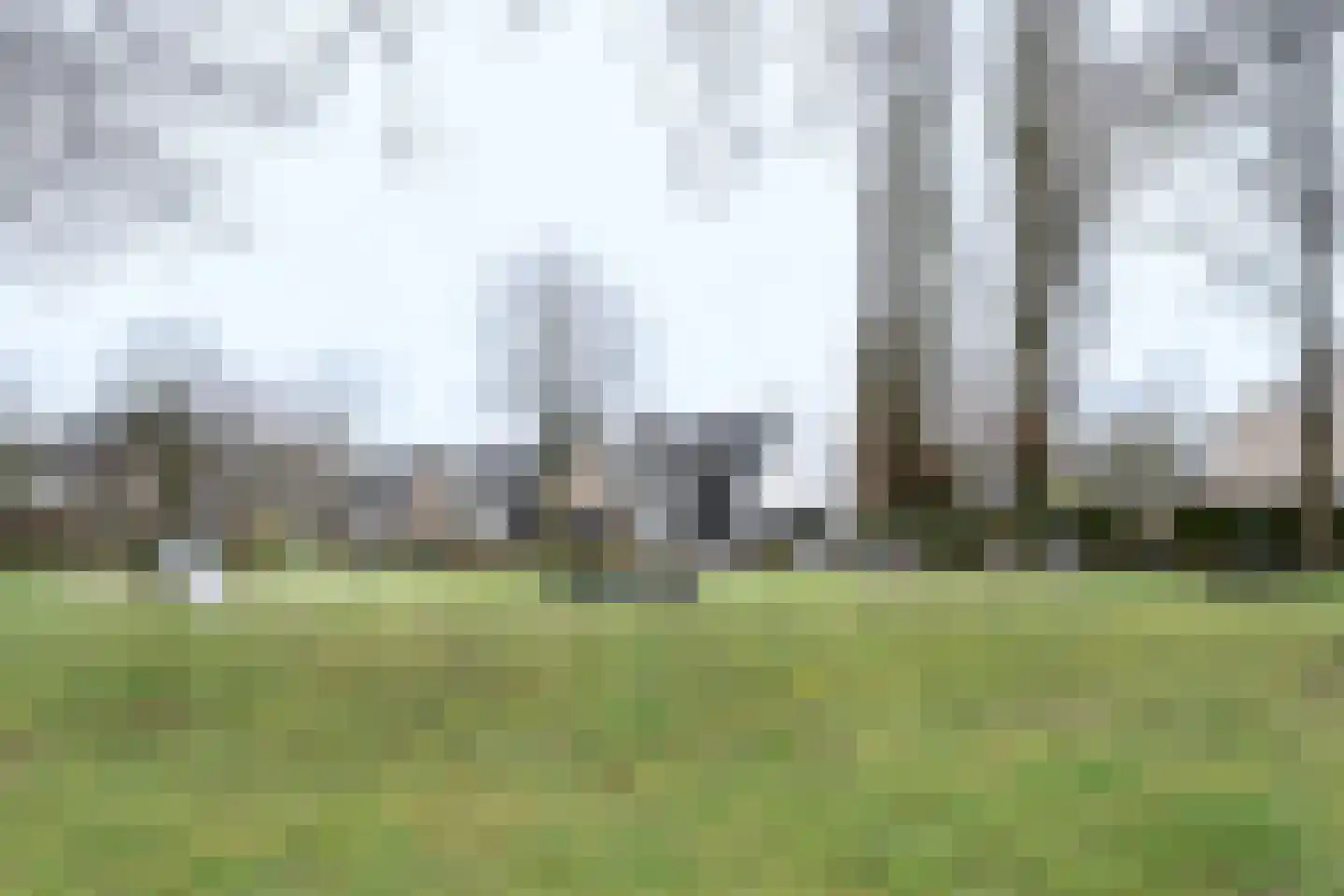 Jacobus van 't Hofflaan 5 Berkel-Enschot thumbnail 38