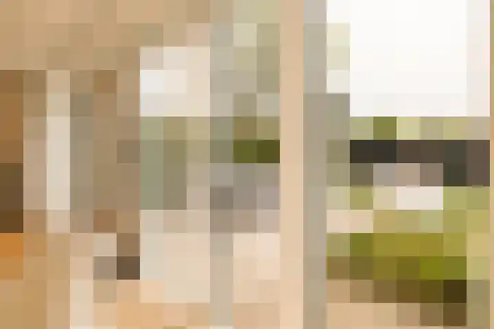 Jacobus van Vessemsingel 21 Rotterdam thumbnail 12
