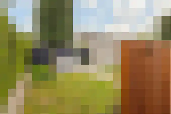 Jacobus van Vessemsingel 21 Rotterdam thumbnail 17