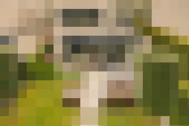 Jacobus van Vessemsingel 21 Rotterdam thumbnail 18