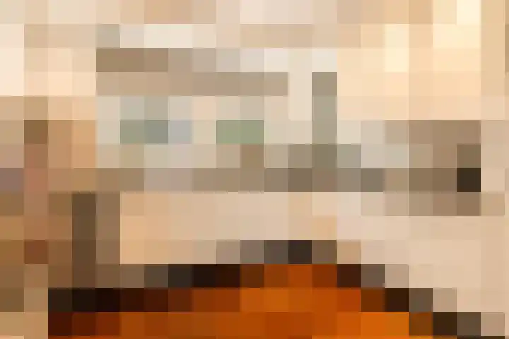 Jacobus van Vessemsingel 21 Rotterdam thumbnail 23