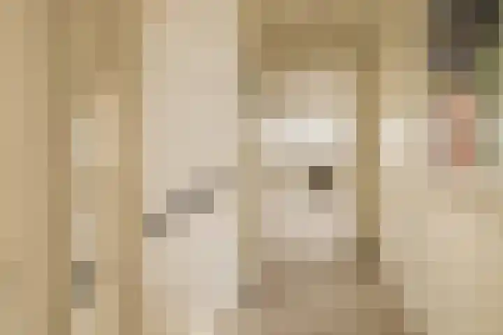 Jacobus van Vessemsingel 21 Rotterdam thumbnail 25