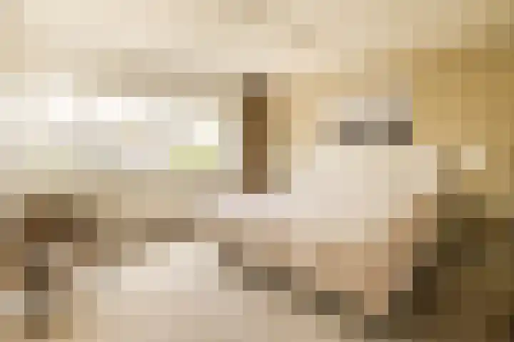 Jacobus van Vessemsingel 21 Rotterdam thumbnail 26