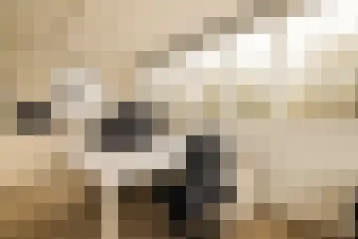 Jacobus van Vessemsingel 21 Rotterdam thumbnail 35
