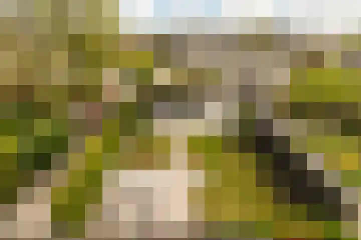 Jacobus van Vessemsingel 21 Rotterdam thumbnail 39