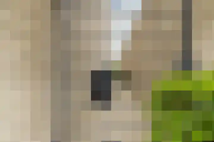 Jacobus van Vessemsingel 21 Rotterdam thumbnail 41