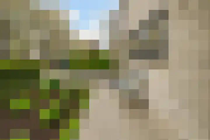 Jacobus van Vessemsingel 21 Rotterdam thumbnail 42