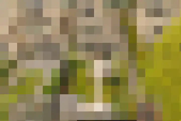 Jacobus van Vessemsingel 21 Rotterdam thumbnail 43