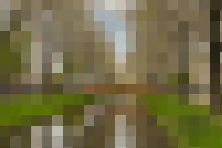Jacobus van Vessemsingel 21 Rotterdam thumbnail 44