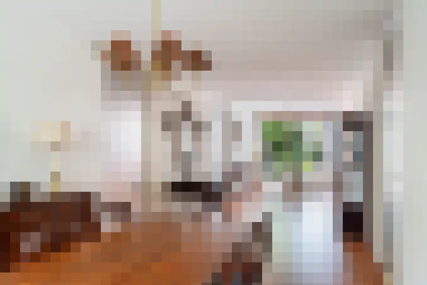 Jacobus van Vessemsingel 28 Rotterdam thumbnail 11