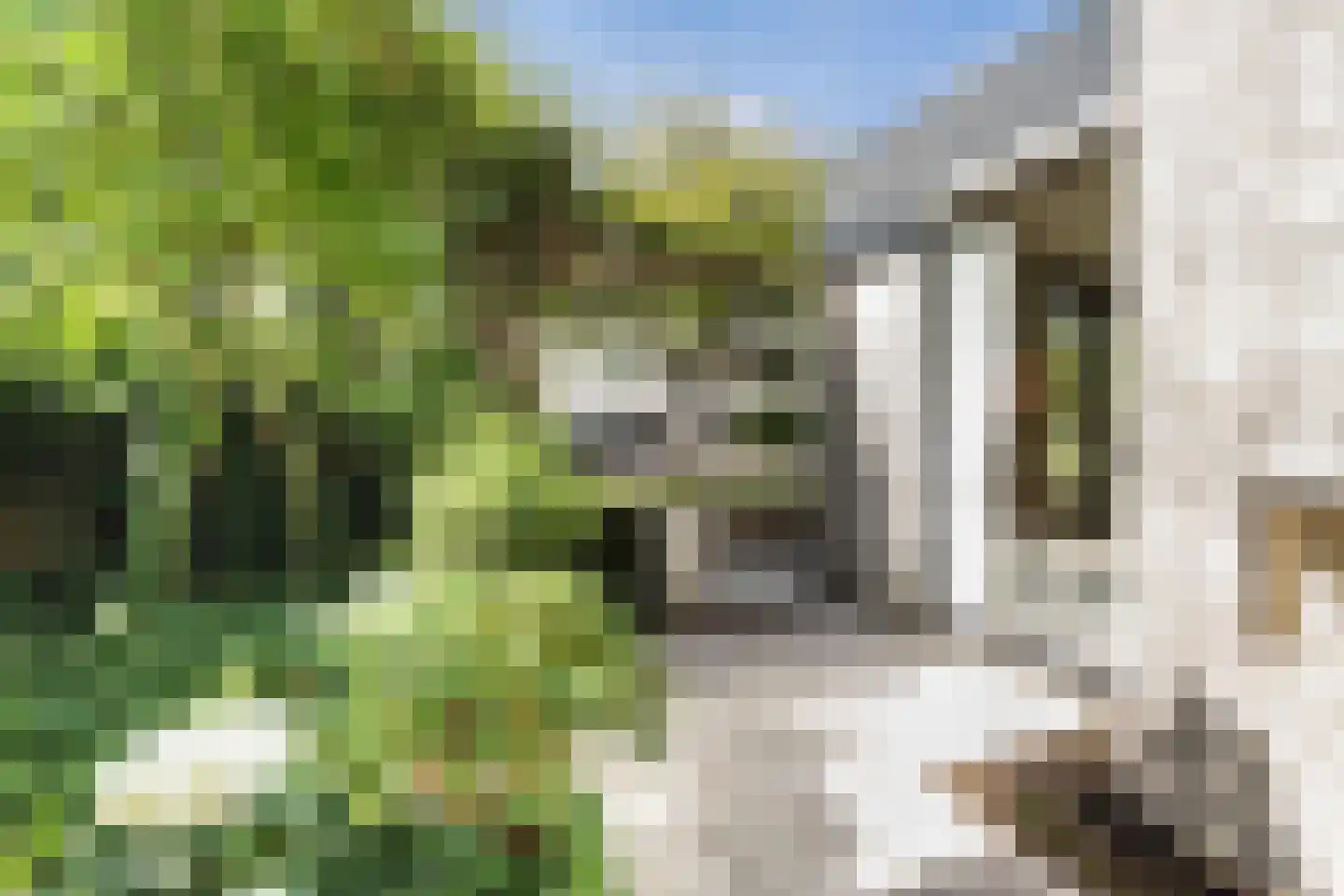 Jacobus van Vessemsingel 28 Rotterdam thumbnail 36
