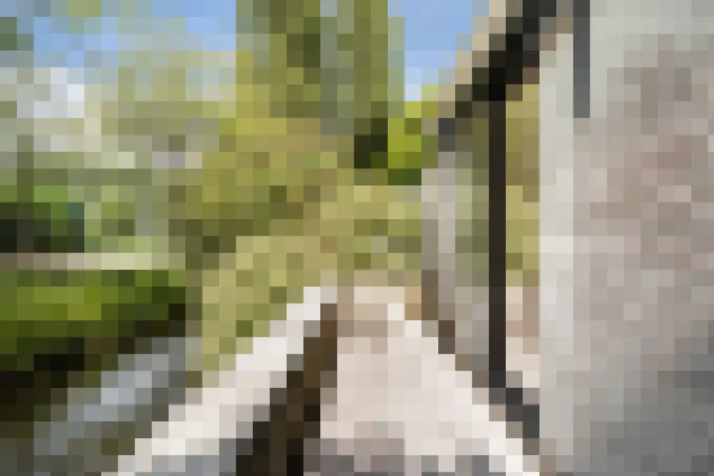 Jacobus van Vessemsingel 28 Rotterdam thumbnail 37
