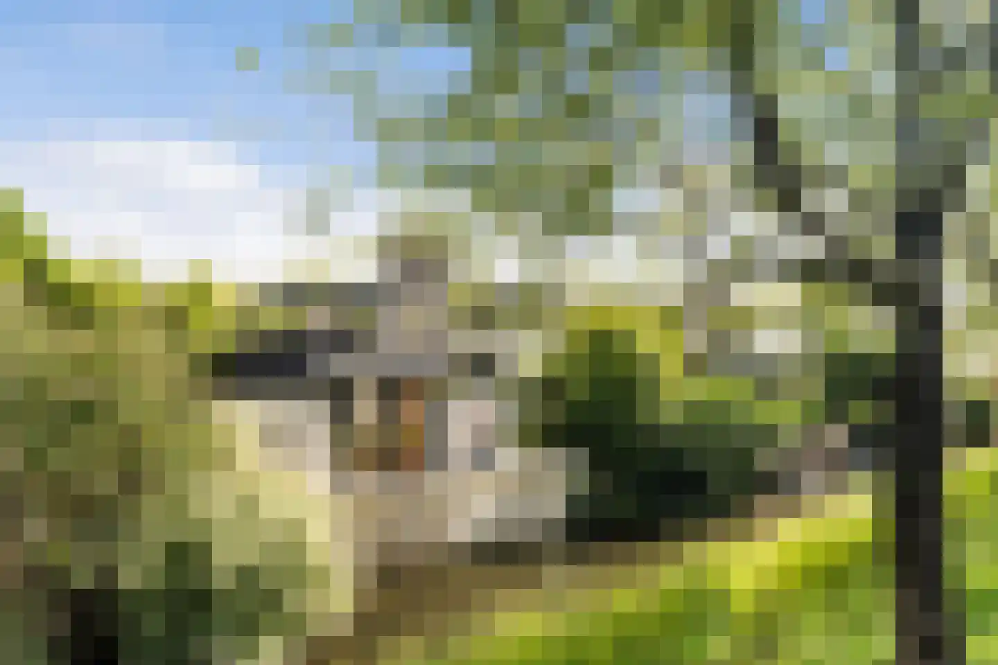 Jacobus van Vessemsingel 28 Rotterdam thumbnail 38