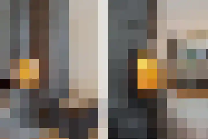 Jacobus Wiltinghstraat 5 Ter Apel thumbnail 14