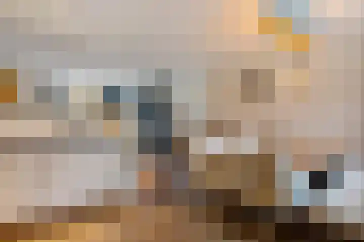 Jacobus Wiltinghstraat 5 Ter Apel thumbnail 19
