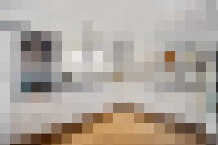 Jacobus Wiltinghstraat 5 Ter Apel thumbnail 20