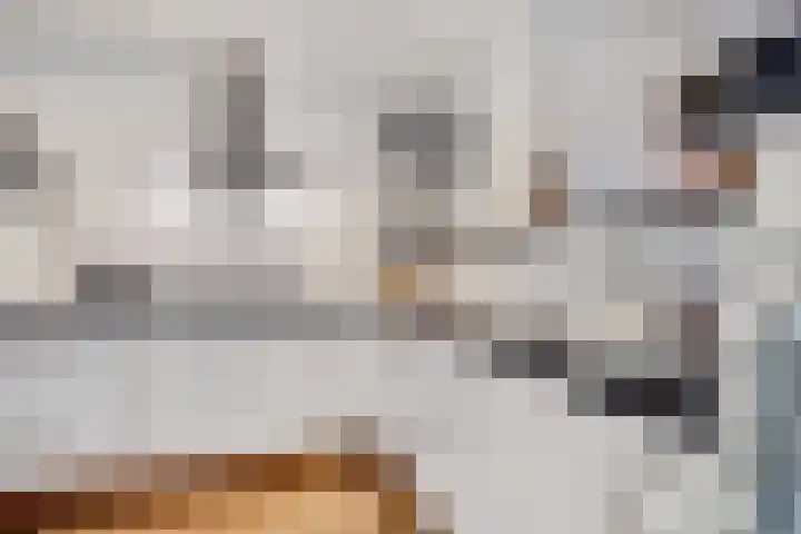 Jacobus Wiltinghstraat 5 Ter Apel thumbnail 21