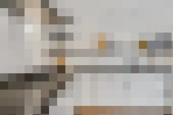 Jacobus Wiltinghstraat 5 Ter Apel thumbnail 22
