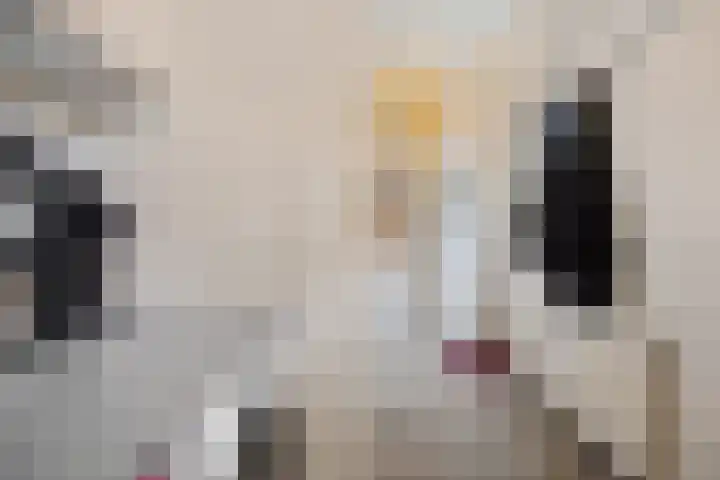 Jacobus Wiltinghstraat 5 Ter Apel thumbnail 24