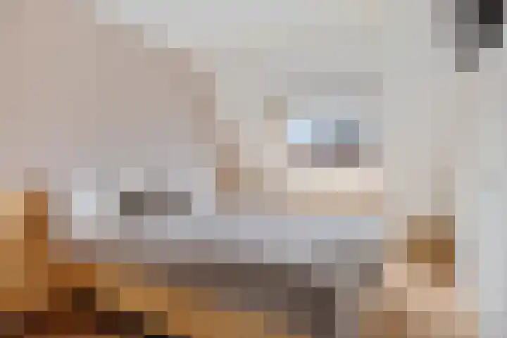 Jacobus Wiltinghstraat 5 Ter Apel thumbnail 27