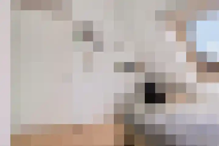 Jacobus Wiltinghstraat 5 Ter Apel thumbnail 34