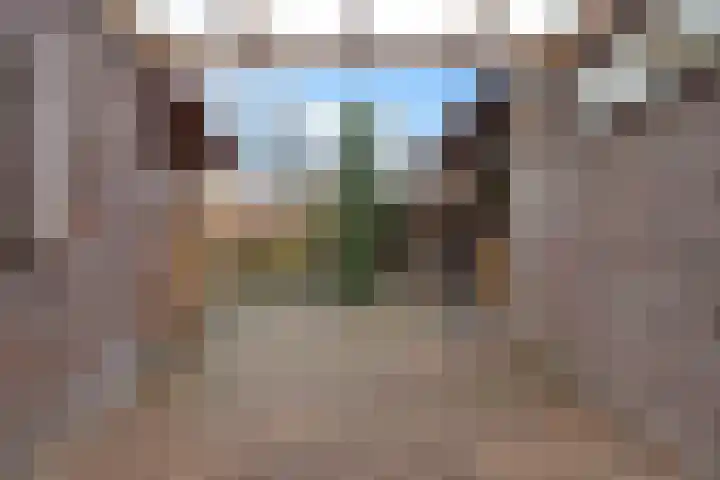 Jacobus Wiltinghstraat 5 Ter Apel thumbnail 40
