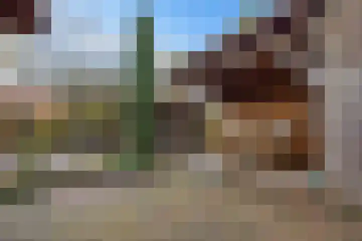 Jacobus Wiltinghstraat 5 Ter Apel thumbnail 41