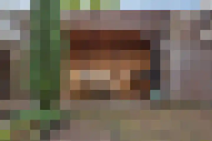 Jacobus Wiltinghstraat 5 Ter Apel thumbnail 42