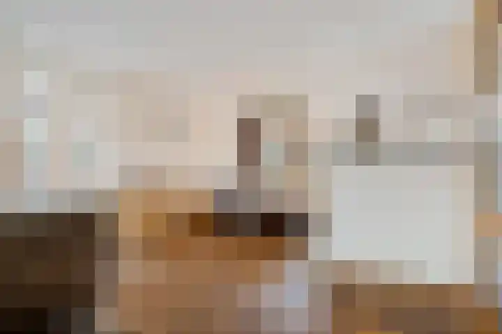 Jacobus Wiltinghstraat 5 Ter Apel thumbnail 9
