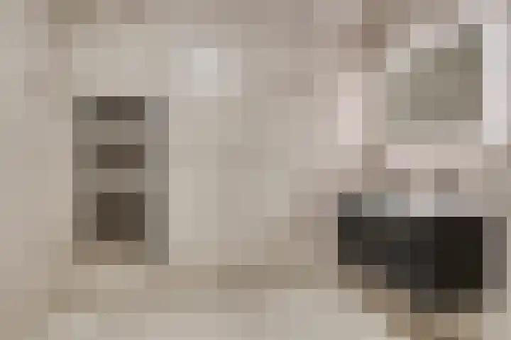 Jacobusbos 3 Etten-Leur thumbnail 21