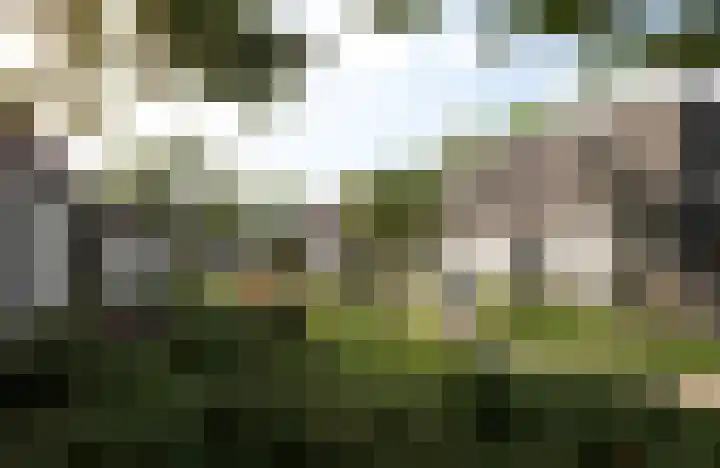 Jacobusbos 3 Etten-Leur thumbnail 31