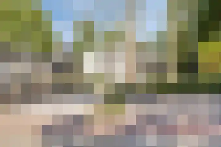 Jacobusbos 3 Etten-Leur thumbnail 37