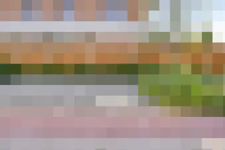 Jacobusbos 3 Etten-Leur thumbnail 38