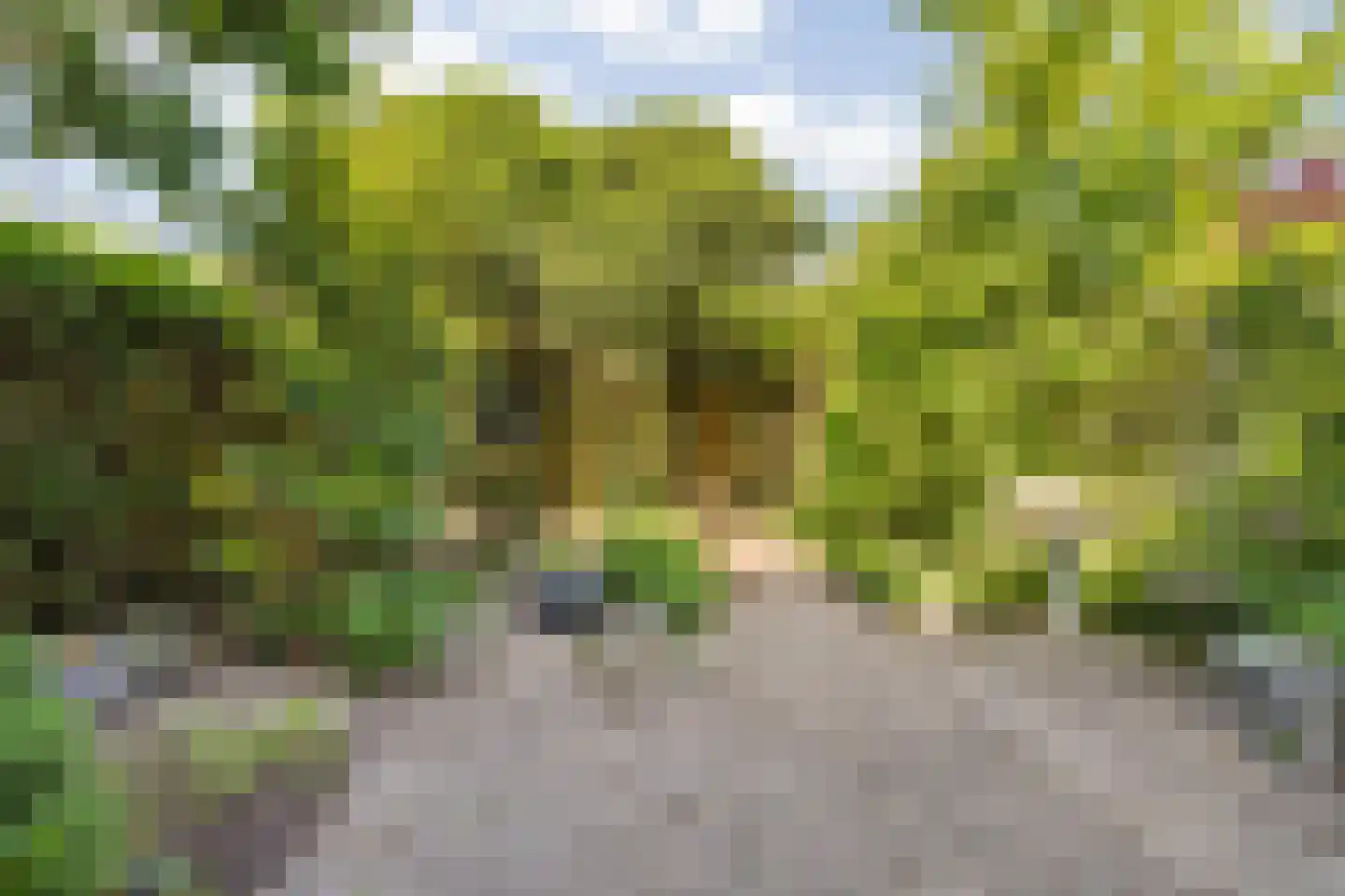 Jacobusstraat 20 Breda thumbnail 54
