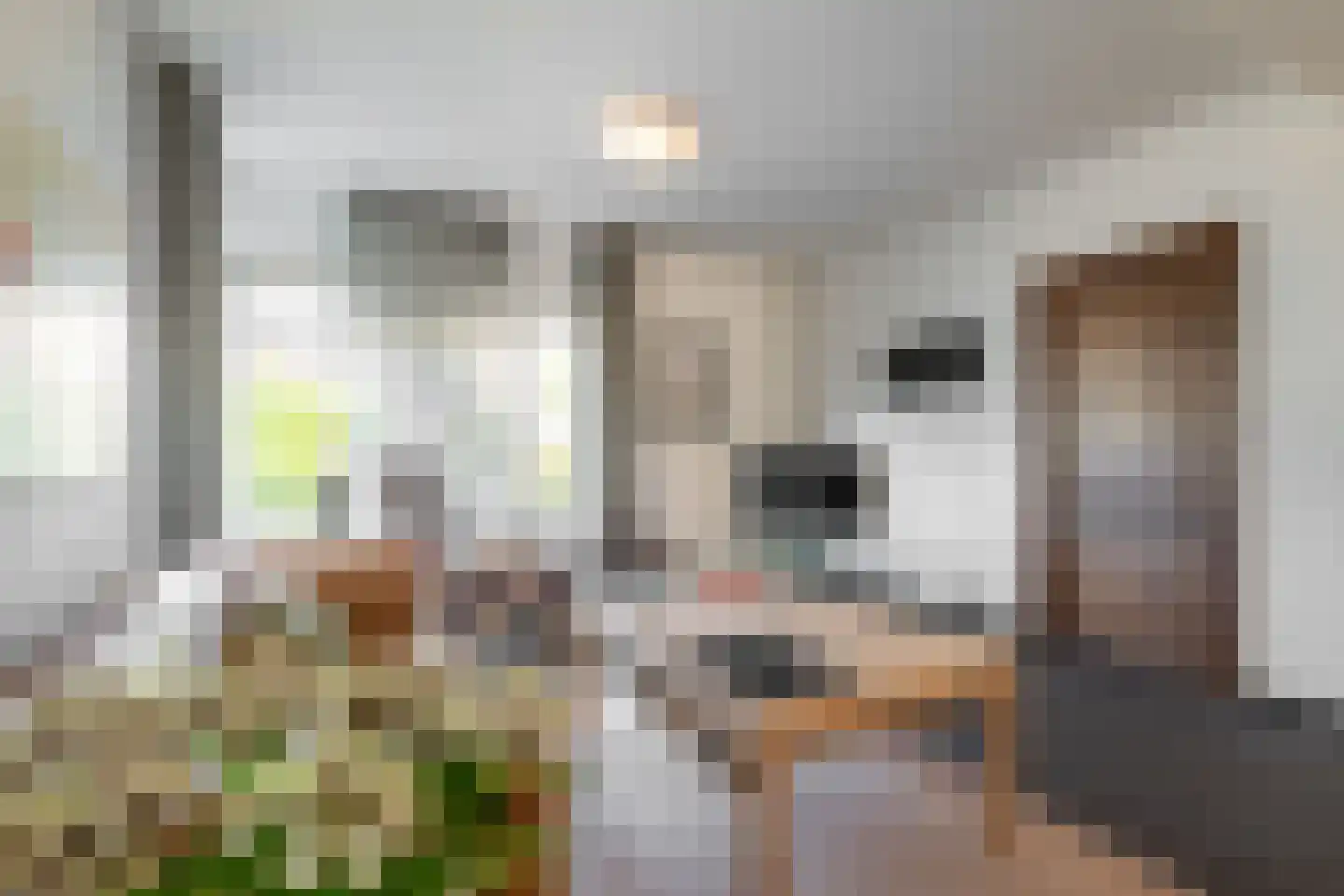 Jacobusstraat 40 Bocholtz thumbnail 5