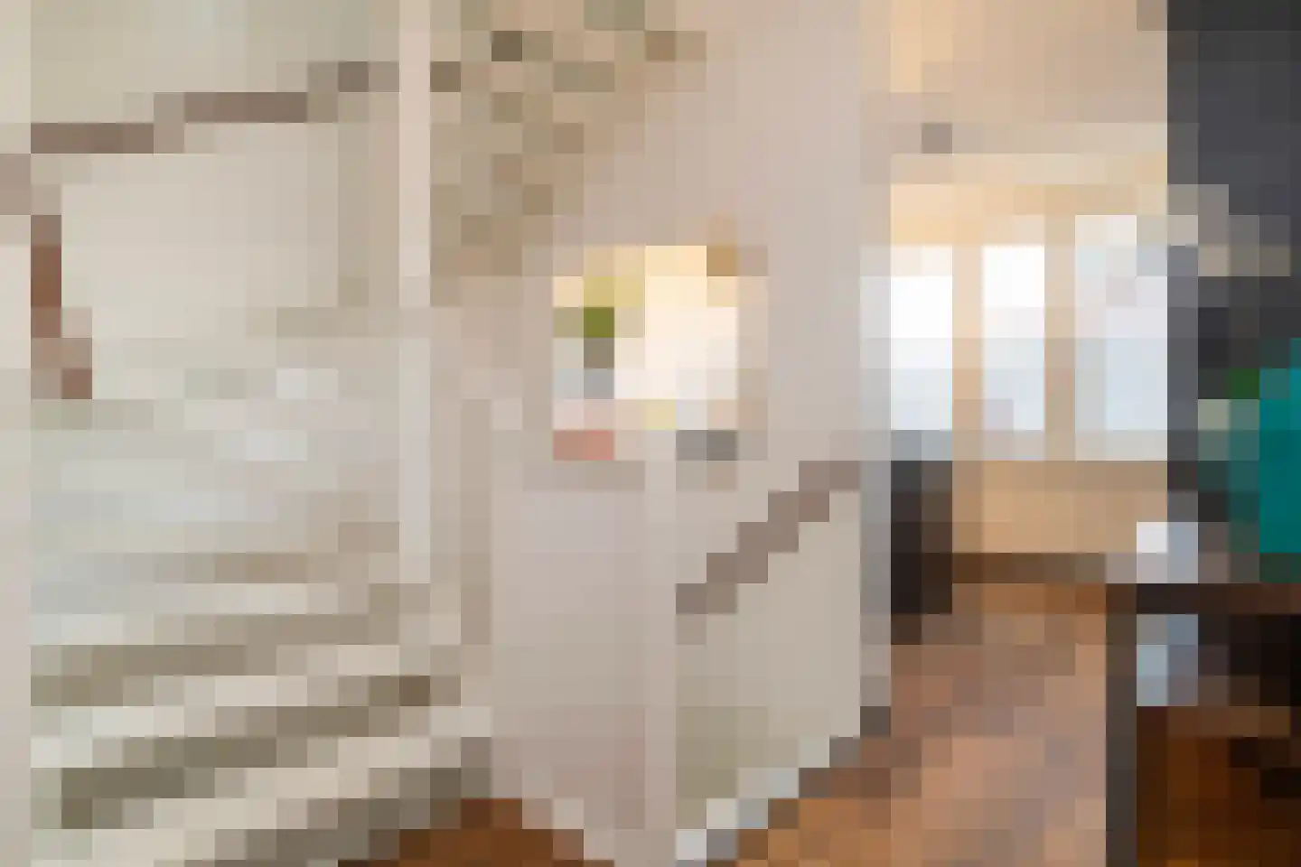 Jacominastraat 94 Rotterdam thumbnail 17