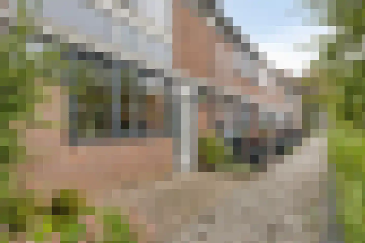 Jacq Perkstraat 12 's-Hertogenbosch thumbnail 25