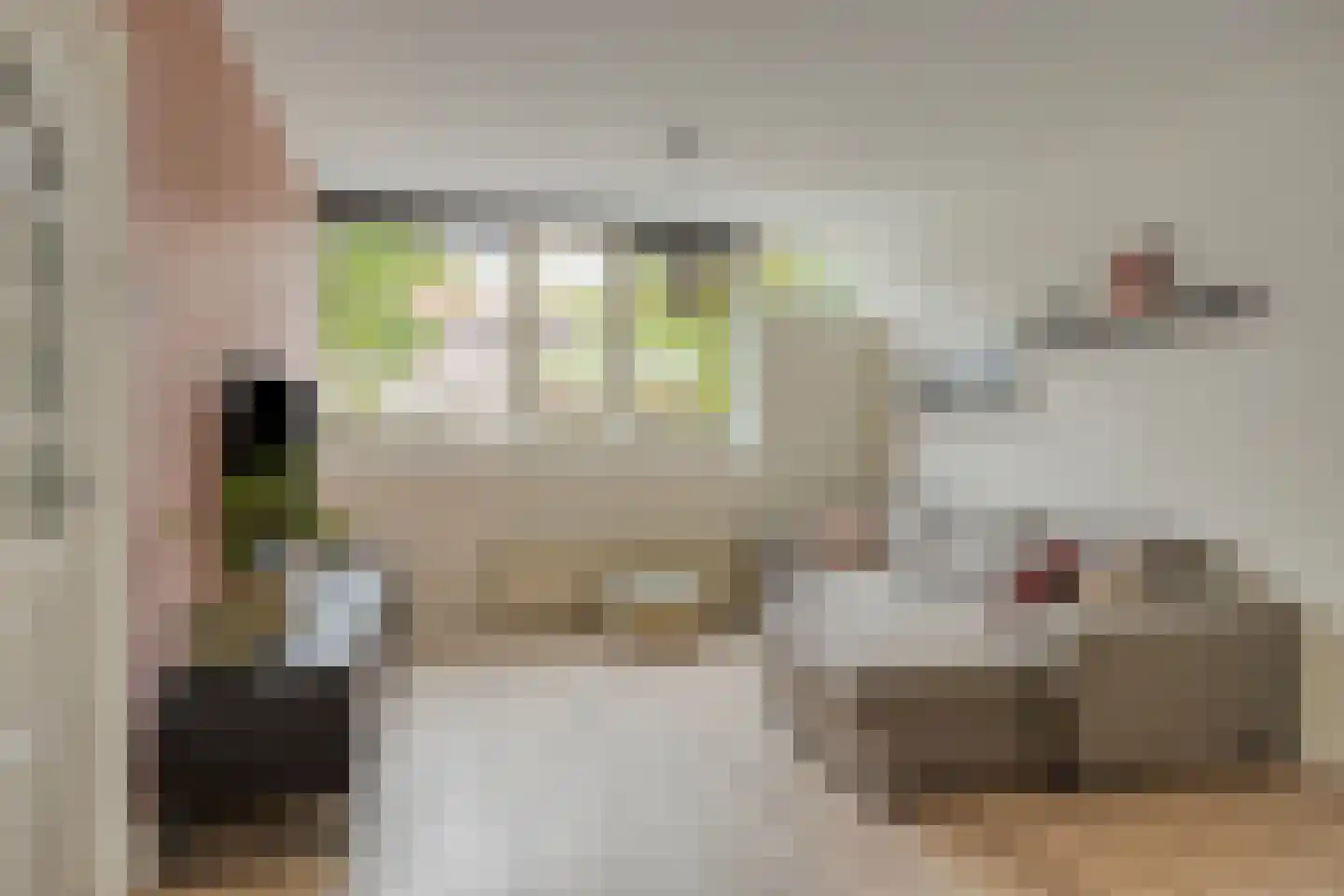 Jacq Perkstraat 12 's-Hertogenbosch thumbnail 6
